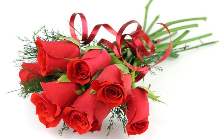 цветы, розы, красные, букет, белый фон, ленточка, flowers, roses, red, bouquet, white background, ribbon