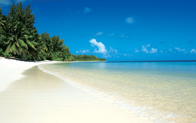 песок, пляж, пальмы, sand, beach, palm trees