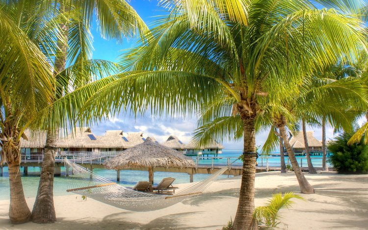 песок, пляж, пальмы, гамак, бунгало, тропики, мальдивы, sand, beach, palm trees, hammock, bungalow, tropics, the maldives