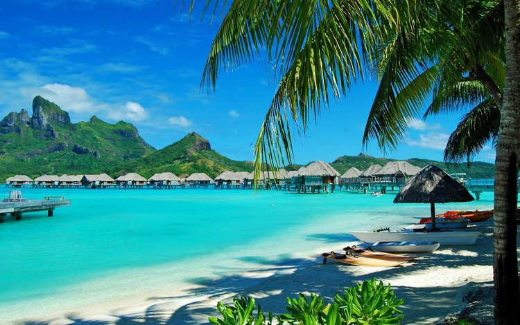песок, пляж, пальмы, бунгало, тропики, sand, beach, palm trees, bungalow, tropics