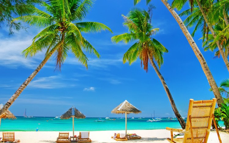 песок, пляж, лодки, пальмы, тропики, sand, beach, boats, palm trees, tropics