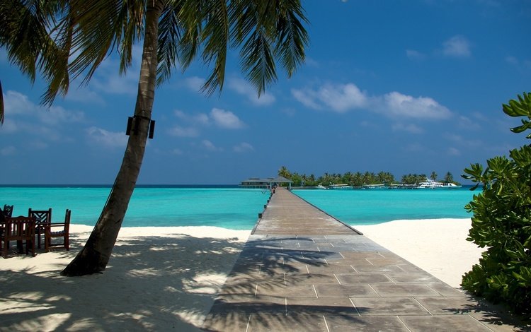 песок, пляж, пальмы, тропики, мальдивы, sand, beach, palm trees, tropics, the maldives
