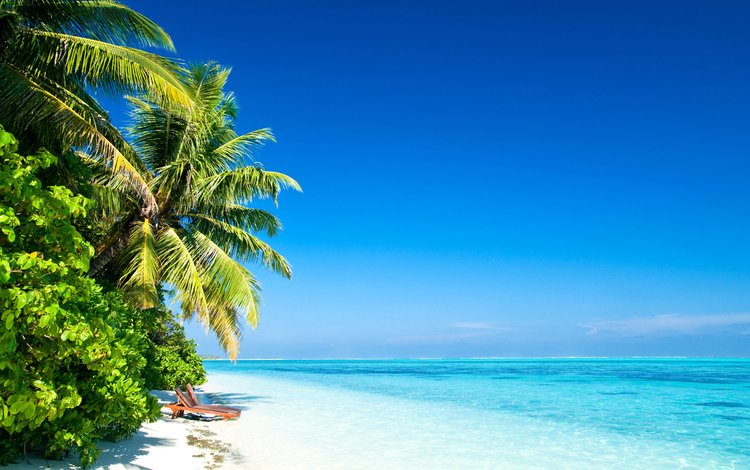 пляж, пальмы, тропики, beach, palm trees, tropics