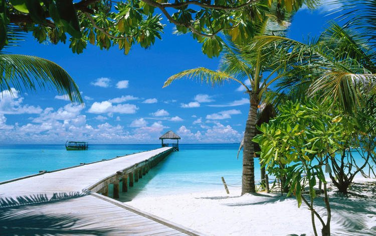 песок, пляж, пальмы, тропики, мальдивы, sand, beach, palm trees, tropics, the maldives