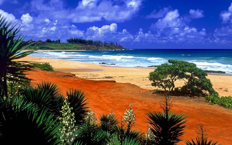 волны, песок, пляж, тропики, wave, sand, beach, tropics
