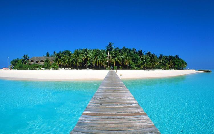 песок, пляж, пальмы, океан, остров, тропики, мальдивы, sand, beach, palm trees, the ocean, island, tropics, the maldives