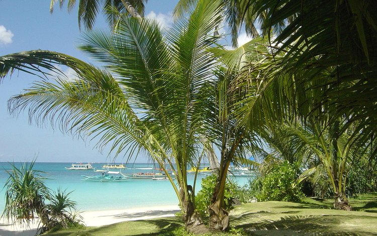 море, песок, пляж, лодки, пальмы, тропики, sea, sand, beach, boats, palm trees, tropics