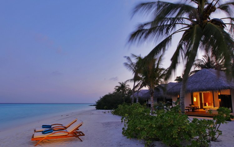 вечер, песок, пляж, пальмы, бунгало, тропики, мальдивы, the evening, sand, beach, palm trees, bungalow, tropics, the maldives