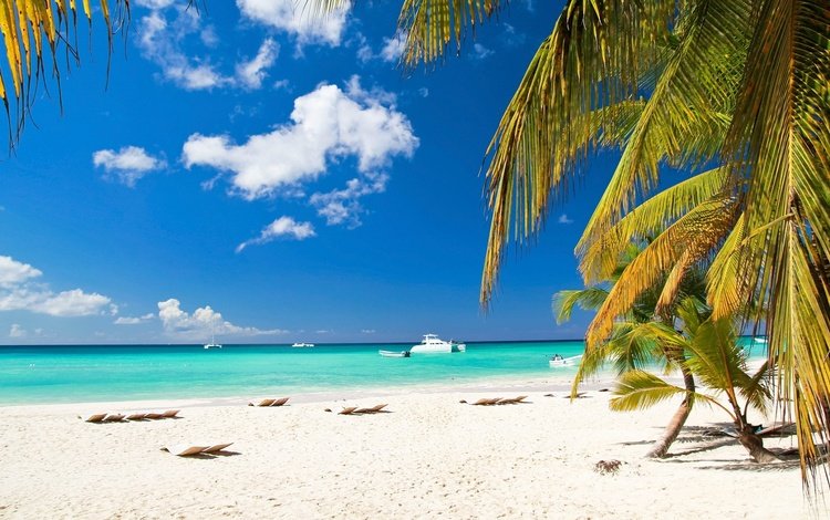 песок, пляж, яхты, пальмы, тропики, sand, beach, yachts, palm trees, tropics