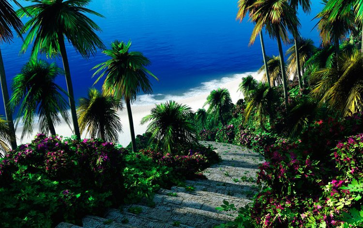 цветы, пляж, пальмы, тропики, flowers, beach, palm trees, tropics