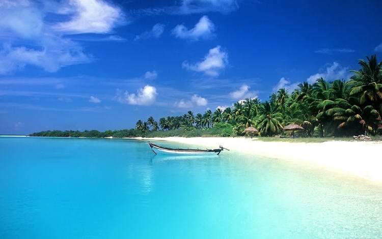 пляж, лодка, пальмы, тропики, мальдивы, beach, boat, palm trees, tropics, the maldives