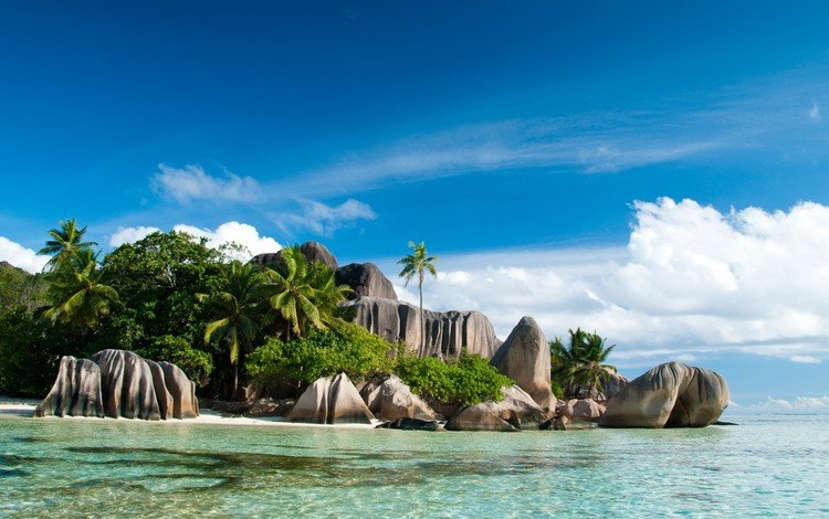 камни, пляж, пальмы, тропики, сейшелы, stones, beach, palm trees, tropics, seychelles