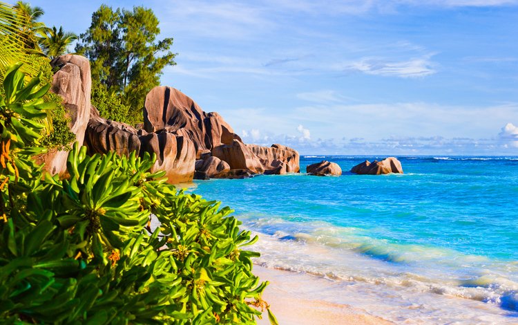 камни, пляж, тропики, сейшелы, stones, beach, tropics, seychelles