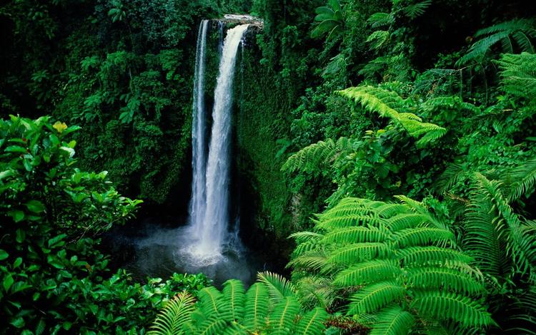 водопад, тропики, waterfall, tropics