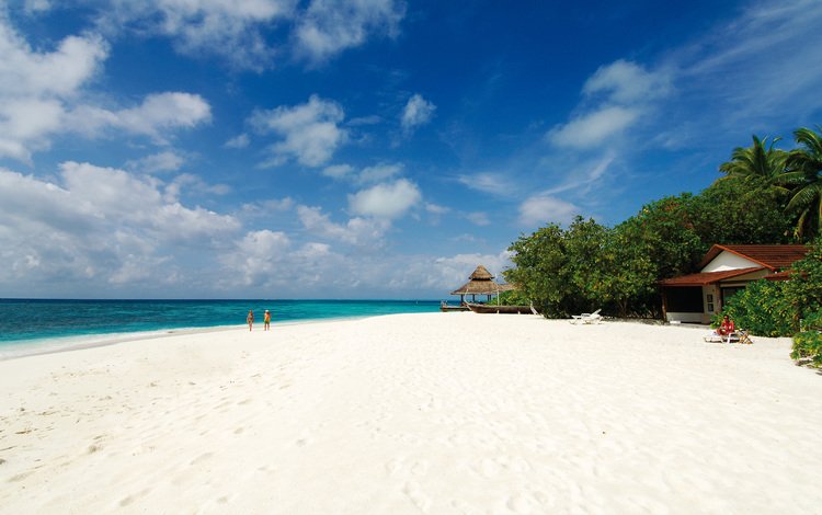 пляж, пальмы, тропики, мальдивы, beach, palm trees, tropics, the maldives