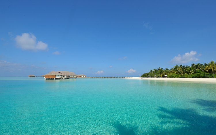 пляж, пальмы, остров, бунгало, тропики, мальдивы, beach, palm trees, island, bungalow, tropics, the maldives