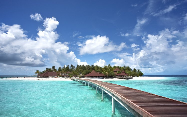 пляж, пальмы, остров, тропики, мальдивы, beach, palm trees, island, tropics, the maldives