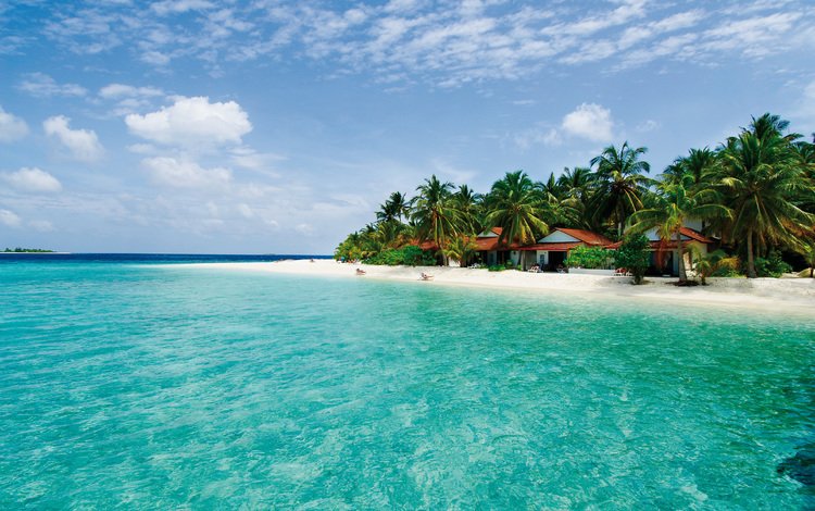 пляж, пальмы, остров, тропики, мальдивы, beach, palm trees, island, tropics, the maldives