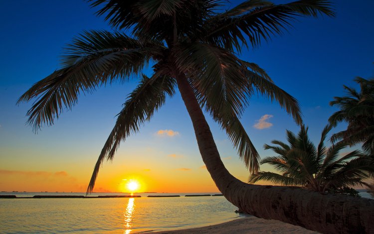 небо, отдых, солнце, тропики, закат, мальдивы, море, пляж, пальмы, океан, пальма, the sky, stay, the sun, tropics, sunset, the maldives, sea, beach, palm trees, the ocean, palma