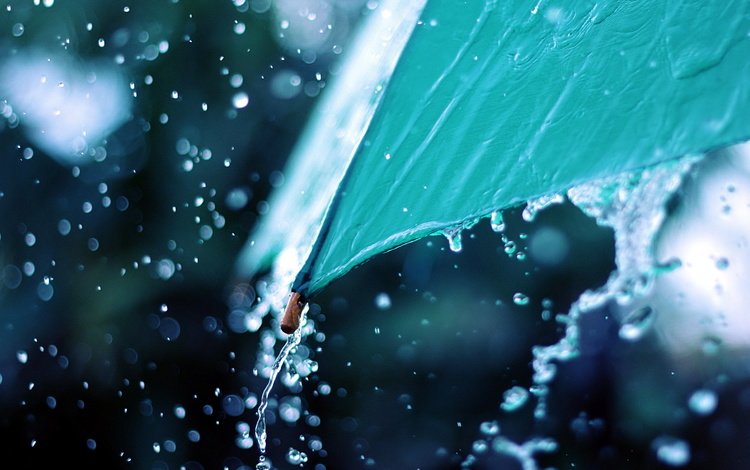 настроение, макро, капли, дождь, зонт, зонтик, mood, macro, drops, rain, umbrella