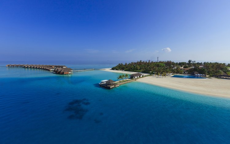 пляж, пальмы, бунгало, тропики, мальдивы, beach, palm trees, bungalow, tropics, the maldives