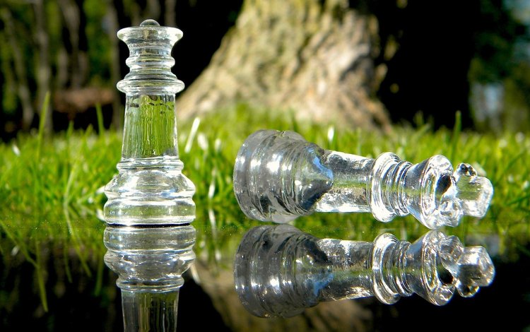 трава, природа, отражение, шахматы, фигуры, игра, стекло, grass, nature, reflection, chess, figure, the game, glass