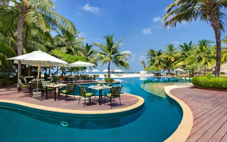 пальмы, бассейн, шезлонги, столик, мальдивы, мальдивские о-ва, palm trees, pool, sun loungers, table, the maldives, maldives