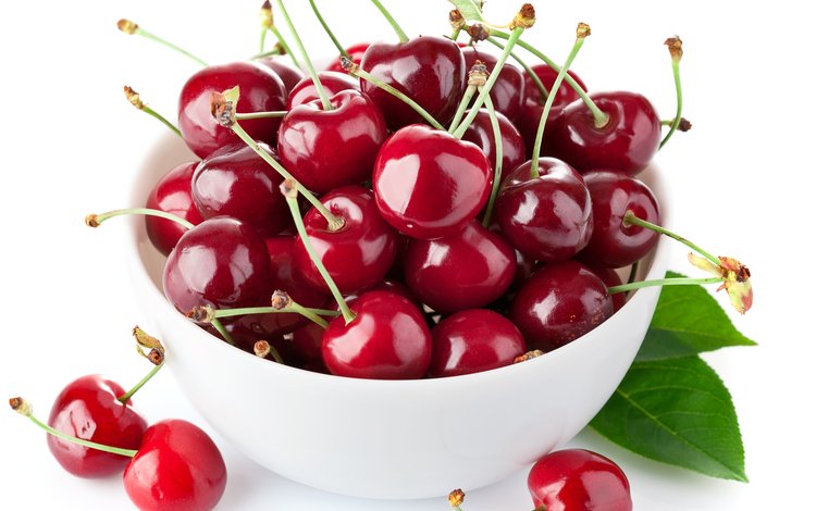 ягода, черешня, спелая, белый фон, вишня, листики, белая чашка, berry, cherry, ripe, white background, leaves, white cup