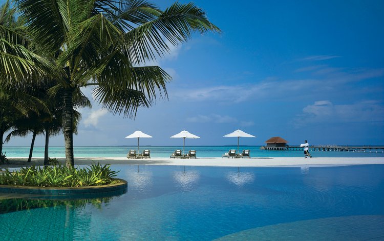 пляж, пальмы, тропики, мальдивы, beach, palm trees, tropics, the maldives