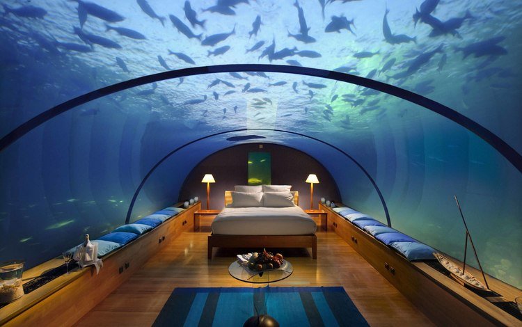 интерьер, под водой, тропики, мальдивы, interior, under water, tropics, the maldives