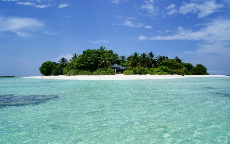 пляж, пальмы, остров, тропики, мальдивы, beach, palm trees, island, tropics, the maldives