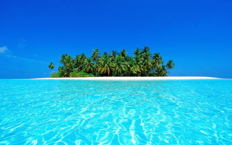 пляж, пейзажи, пальмы, остров, тропики, багамы, мальдивы, beach, landscapes, palm trees, island, tropics, bahamas, the maldives