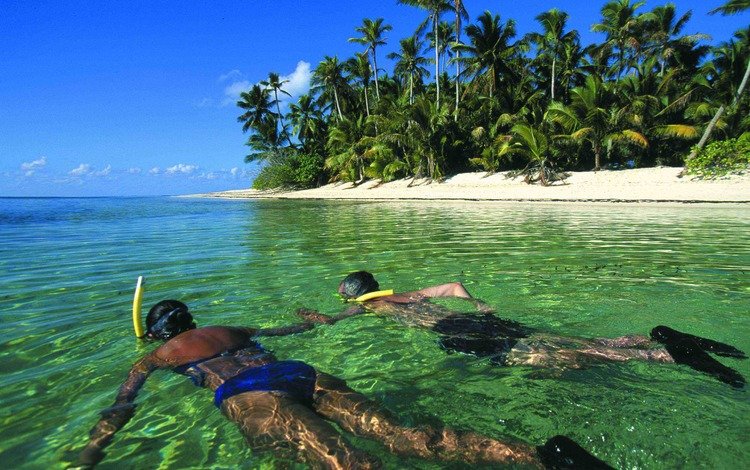 пляж, пальмы, тропики, мальдивы, дайвинг, beach, palm trees, tropics, the maldives, diving