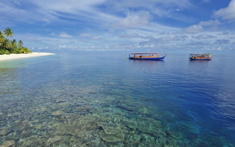 пляж, лодки, тропики, мальдивы, beach, boats, tropics, the maldives
