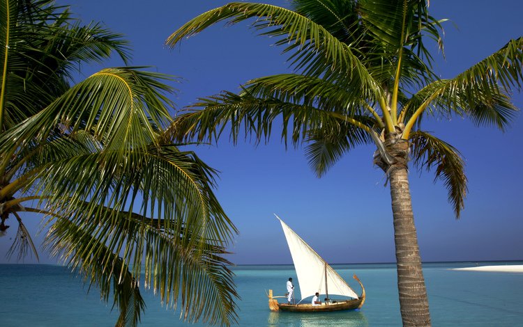 пляж, лодка, пальмы, тропики, мальдивы, beach, boat, palm trees, tropics, the maldives