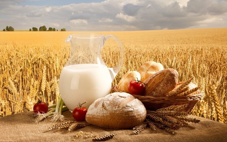 небо, помидоры, поле, булочки, лук, пшеница, хлеб, корзина, молоко, кувшин, the sky, tomatoes, field, buns, bow, wheat, bread, basket, milk, pitcher