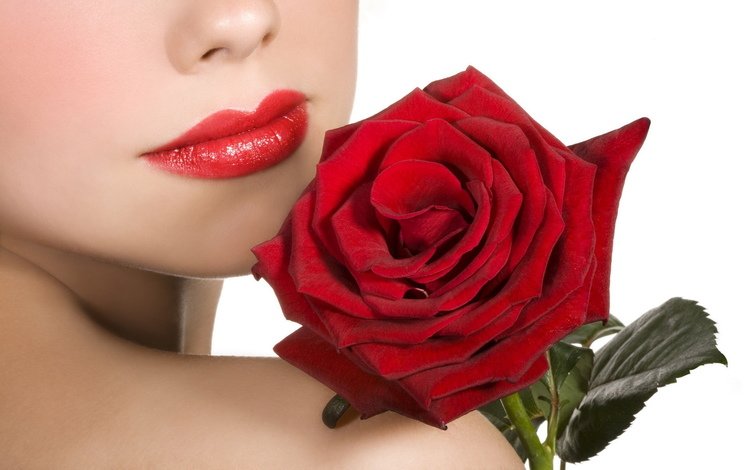 девушка, бархатная, цветок, роза, красная, модель, губы, лицо, красная помада, girl, velvet, flower, rose, red, model, lips, face, red lipstick