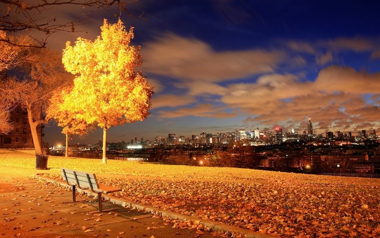 ночь, парк, город, осень, сша, нью-йорк, скамейка, night, park, the city, autumn, usa, new york, bench