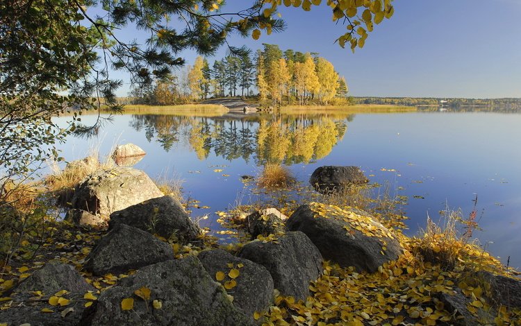 деревья, озеро, камни, листья, отражение, осень, trees, lake, stones, leaves, reflection, autumn