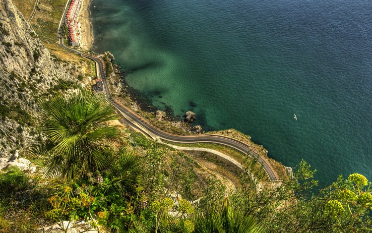 дорога, природа, море, скала, побережье, пальмы, гибралтар, road, nature, sea, rock, coast, palm trees, gibraltar