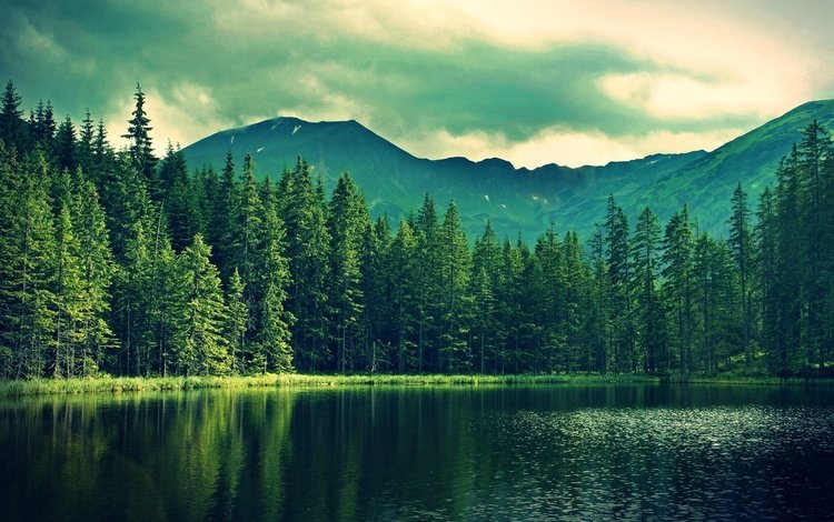 небо, деревья, озеро, горы, природа, лес, отражение, лето, the sky, trees, lake, mountains, nature, forest, reflection, summer