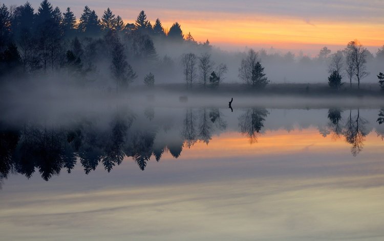 озеро, лес, отражение, утро, туман, рассвет, пруд, гладь, lake, forest, reflection, morning, fog, dawn, pond, surface