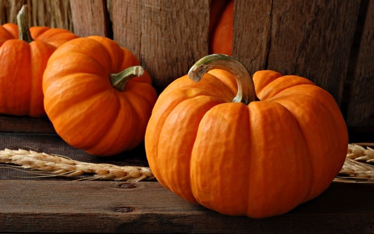 осень, пшеница, урожай, овощи, колос, тыквы, autumn, wheat, harvest, vegetables, ear, pumpkin
