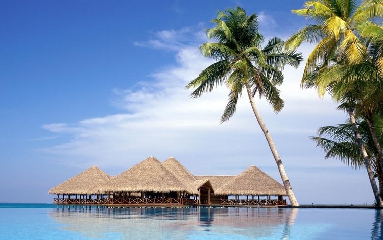 пейзаж, пляж, пальмы, океан, бунгало, мальдивские острова, landscape, beach, palm trees, the ocean, bungalow, maldives