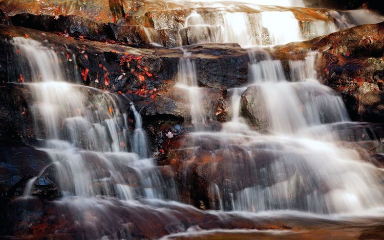 природа, камни, листья, водопад, каскад, nature, stones, leaves, waterfall, cascade