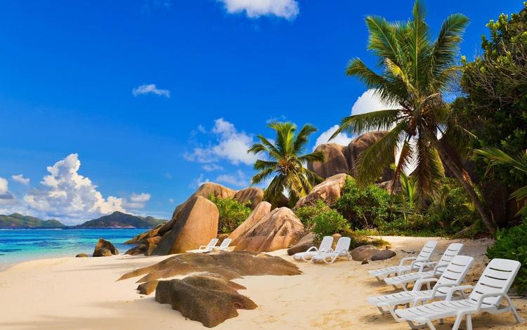 пляж, пальмы, тропики, сейшелы, beach, palm trees, tropics, seychelles