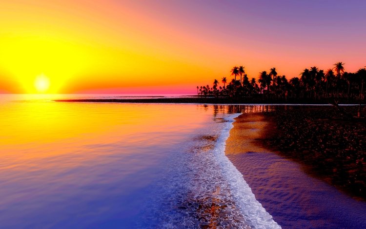 закат, пляж, пальмы, тропики, sunset, beach, palm trees, tropics