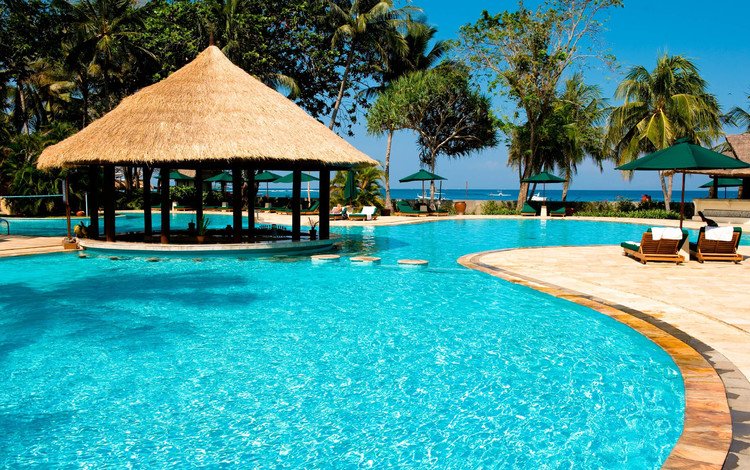 пальмы, бассейн, отдых, тропики, palm trees, pool, stay, tropics