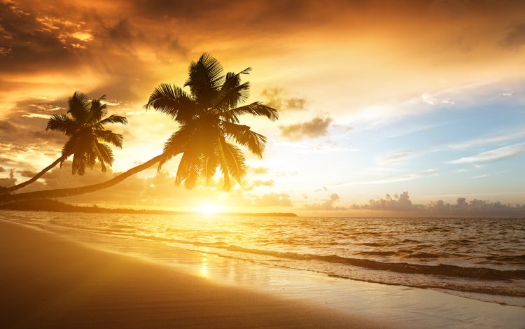 закат, пляж, пальмы, тропики, sunset, beach, palm trees, tropics