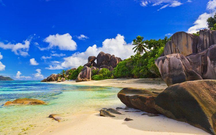 камни, пляж, пальмы, сейшелы, stones, beach, palm trees, seychelles